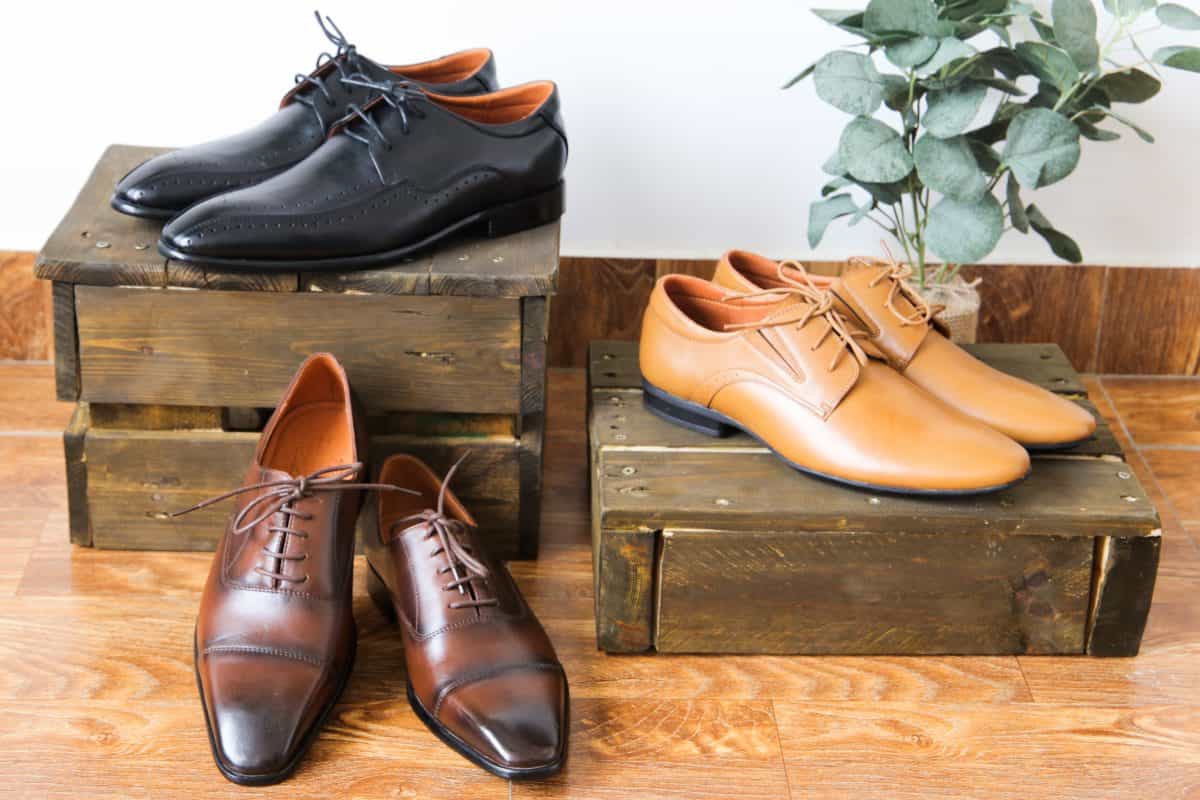  Long Leather Shoes in Pakistan; Brown Black Blue Colors Splitting Cracking Resistant 