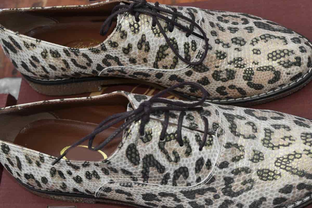  Snake Leather Shoes in India; Loafer Striped Pattern Laced Types Comfortable Protective 